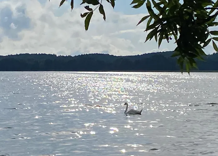Vidok - Lotnisko Dajtki - Przy Jeziorze Ukiel Z Klimatyzacja I Bezplatnym Parkingiem Olštýn